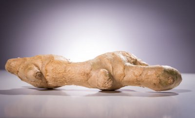 生姜收獲時間 生姜采收月份與技術要點